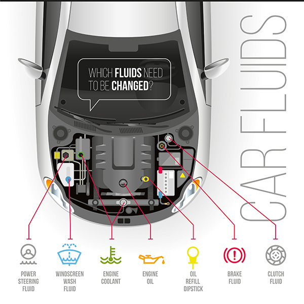 What Does the Color of Your Car Fluid Leak Mean | Foreign Auto Services